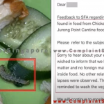 Mother disgusted to find live caterpillar in chicken rice of her 3yo child while dining at Jurong Point food court