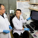 NUS scientists discover novel therapy to activate muscle cells’ natural defenses against cancer